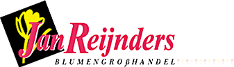 Blumengroßhandel in Bad Bentheim | Lieferant für Schnittblumen